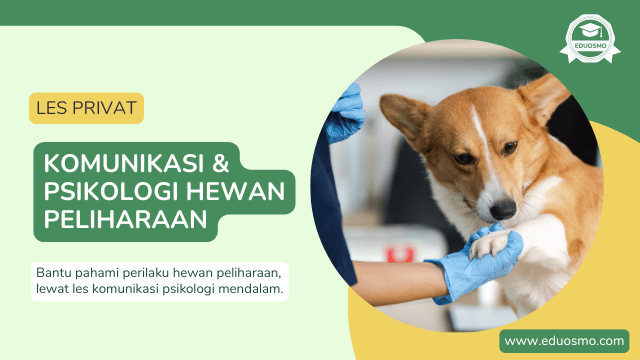 Les Privat Komunikasi Psikologi Hewan Peliharaan di Bandung
