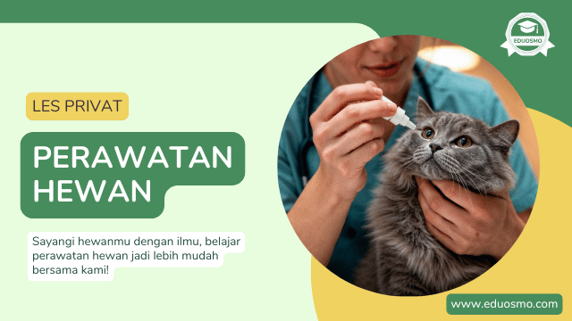 Les Privat Perawatan Hewan Peliharaan di Bandung